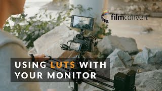 Using a LUT with your MONITOR | Move with Rhino - Ep23