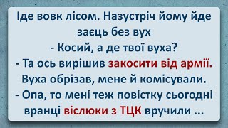 💠 Примусова Мобілізація та ТЦК! Українські Анекдоти та Анекдоти Українською! Епізод #335