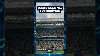 EDIN DZEKO’NUN GOLÜNÜN ARDINDAN TRİBÜNLER COŞTU #dzeko #fenerbahçe #shorts