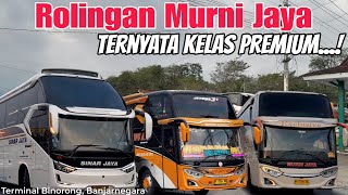 Murni Jaya Tambahan Memakai Kelas Premium‼️Terminal Binorong Sedikit Tersendat Di Beberapa Momen