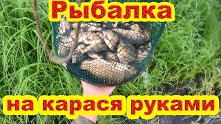 Рыбалка на карася на жмур