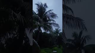 সুন্দর সন্ধ্যা Nice evening