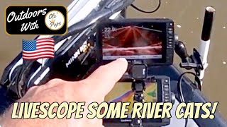 How I used LiveScope to Catch some River Catfish!