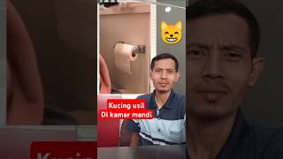 Kucing usil 🤣 #funny #cat #animals