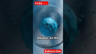 cell division #shorts #biology #yt #education