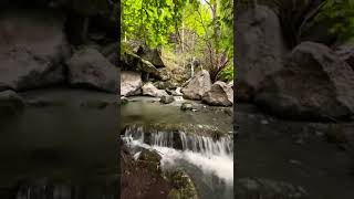 Doğa ve Müzik 8 🙏❤️🙏 Nature and Music 8 (Abone Ol ❤️Subscribe)