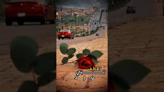 مره لمحتك/ نادر الشراري/ #short (حصريا)#shorts