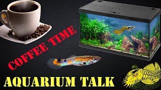 Fish Talk: Aquarium Questions