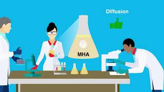 Modifying Mueller-Hinton Agar to Test Colistin Resistance through Disk Diffusion Test (Ann Lab Med)