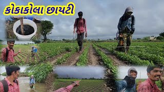 આજ ધરાર વળિયે દવા || Village life