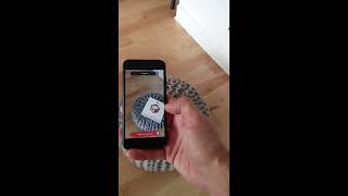 Smart AR Home - Create and find synchronization points