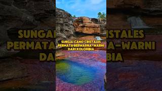 Sungai Caño Cristales: Permata Berwarna-warni dari Kolombia #canocristales #faktaunik #faktamenarik