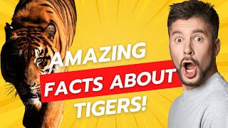 Amazing Tiger Facts Every Person Should Know! #animals #tiger #facts #entertainment