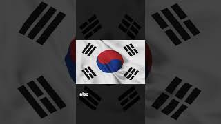 What Does The South Korean Flag Mean? #shorts #southkorea #explore #travelvlog #asia