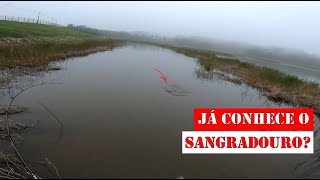 Diversão no Sangradouro (comporta) - Pescaria de Traíra - pesca divertida