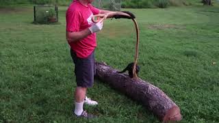 Log Arch. With a little help from my friends. Part Uno