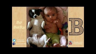 Funny Dogs   A Funny Dog Videos Compilation 2017  TRY NOT TO LAUGH - VideoStudio