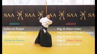 Aiki Ken Kamae 🔺 Basic Sword Stances