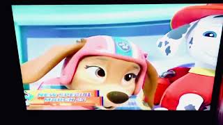 PAW Patrol Liberty Special