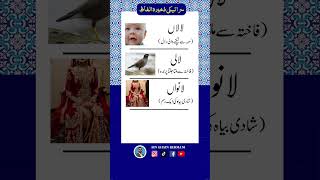 Saraiki Vocab.(30)       #youtubeshorts #shorts #viral #saraiki #سرائیکی #vocabulary