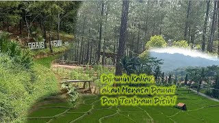 Wisata Lokal : Drais View 360 / Taman Hutan Pinus ( WISATA BREBES )