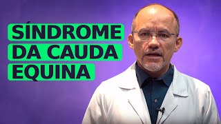 O que é a Síndrome da Cauda Equina? Neurocirurgião Explica!