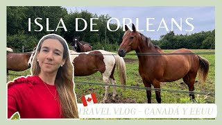 VLOG: Enamorada de ISLA de ORLEANS, caballos, CASCADAS Montmorency en QUEBEC 🇨🇦(11)👩🏼‍💻🐴🌿 Laura Raya