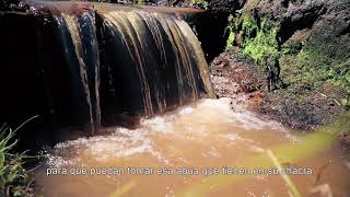 Recuperación de Nacientes de Agua