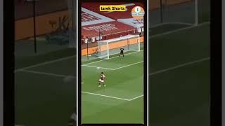 amazing goal 👏 #tottenham #premierleague #goal #amazing #shorts #shortsvideo #viralvideo #video #fyp