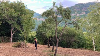 Maintaining land in Bulgaria | Подръжка на градина в България