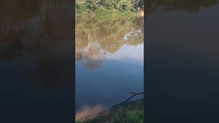 pescaria no rio Paraopeba no charneca 🎣🎣🐟🐟