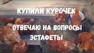 Купили курочек,отвечаю на вопросы эстафеты