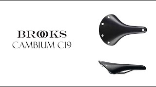 Обзор Brooks Cambium C19