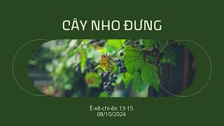 Tĩnh nguyện 08/10/2024 - CÂY NHO ĐƯNG