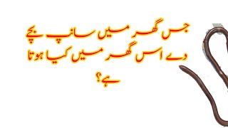 ghar mein saanp ke bacche ka aana | Islamidiary | #urduquotes | 10 bori aadtee jo dimag tabah hota