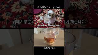 뜨개하며독서-41  #강아지뜨개옷 #뜨개 #vlog #shorts