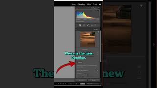 New A.I. based noise reduction in both LR and Lightroom Classic #shorts