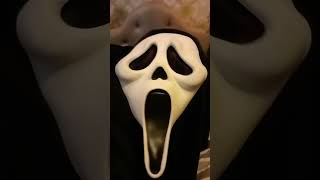 Fun world scream ghostface movie mask