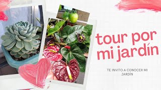 Tour por mi jardín parte 2