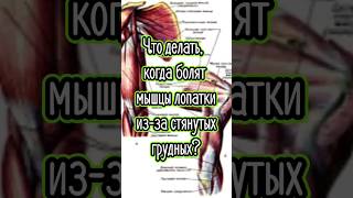 Болят мышцы лопатки из-за стянутых грудных. Что делать?