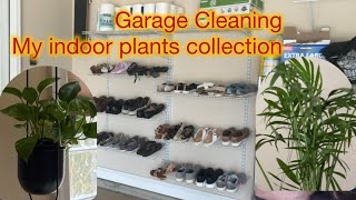 My Indoor Plant collection / Garage Cleaning #tamilusavlogs #tamilvlogs #plantcollections #cleaning