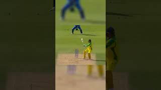 Clean Bowled 🏹 Starc⚡BUMRAH 💥Stokes🔥 #cricket #cricketlover #shortsfeed #youtubeshorts #cricketnews