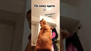 Как вам? 😘 тг: поля с крысками🐁🐀