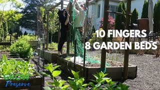 Garden Planning and Installing a Trellis