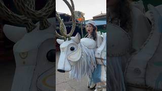 Merry Menagerie - Disney’s Animal Kingdom