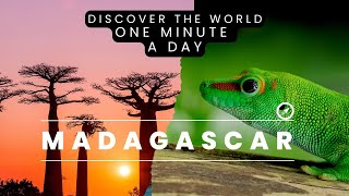 Madagascar. One Of The Poorest And Unique Countries On Earth.