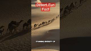 Desert Fun Fact You Dont Know. #shorts #viral #youtubeshorts #youtube