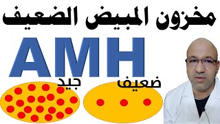 مخزون المبيض الضعيف والحمل AMH نقص مخزون المبيض ضعف مخزون المبيض مخزون المبيض القليل د. يوسف عيد2022