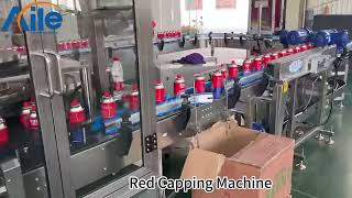 Aile 240 speed cassette furnace butane aerosol production line