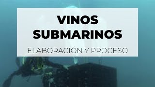 ¿Cómo se elabora un vino submarino? | Bodega Crusoe Treasure